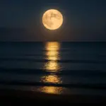 Luna piena e umore: ecco i segni zodiacali che la sentono davvero